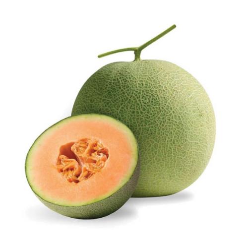   Dưa Lưới tròn (size1.2kg - 1.5kg) Xem thông tin chi tiết Dưa Lưới tròn (size1.2kg - 1.5kg)